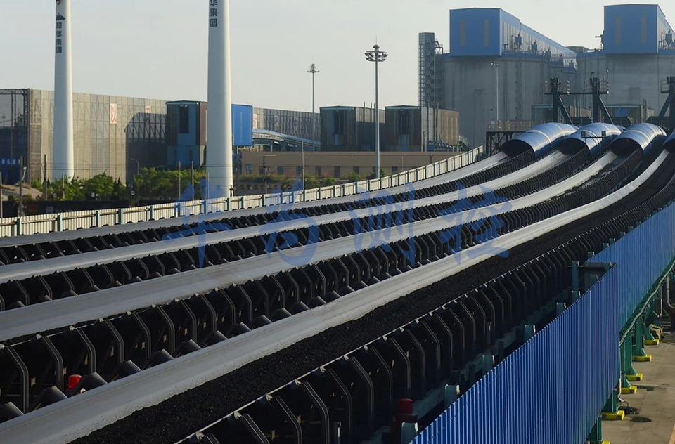 給煤機(jī)皮帶秤HW9000行業(yè)經(jīng)驗(yàn)豐富